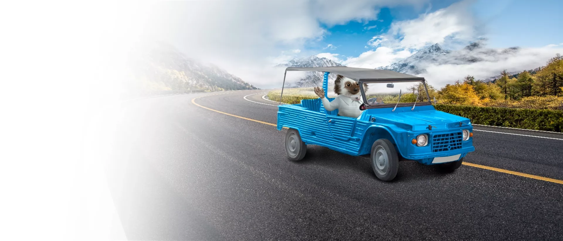 Calcula tu seguro de coche