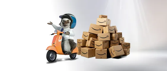 Erizo montado en moto con cajas de Amazon detrás