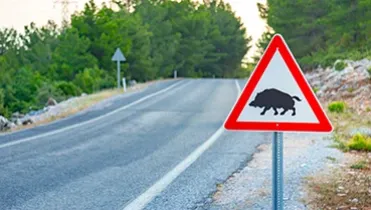 Animales Cinegeticos